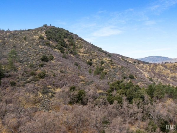 Listing Image #2 - Land for sale at APN# 325-102-02, Tehachapi CA 93561