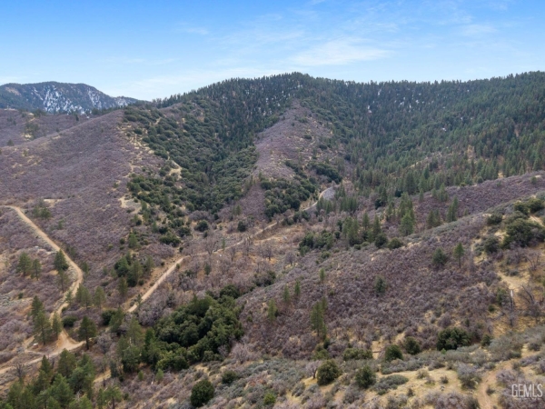 Listing Image #3 - Land for sale at APN# 325-102-02, Tehachapi CA 93561