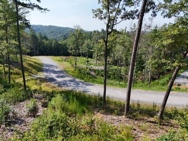 Listing Image #2 - Land for sale at Lot 3 Mountain Laurel Ridge, Mineral Bluff GA 30559
