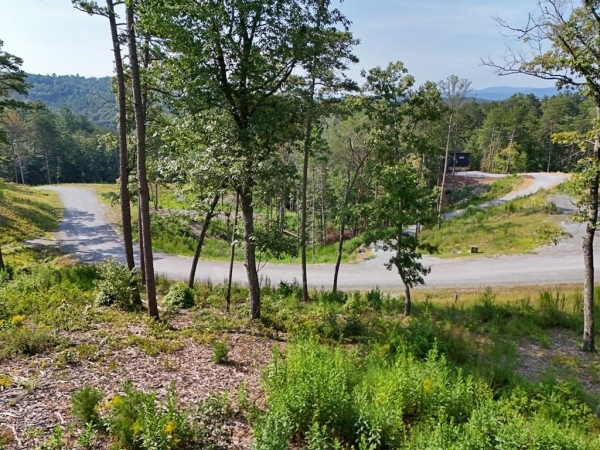 Listing Image #3 - Land for sale at Lot 3 Mountain Laurel Ridge, Mineral Bluff GA 30559
