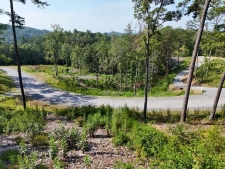 Land property for sale in Mineral Bluff, GA