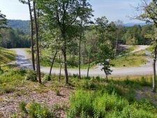 Listing Image #3 - Land for sale at Lot 3 Mountain Laurel Ridge, Mineral Bluff GA 30559