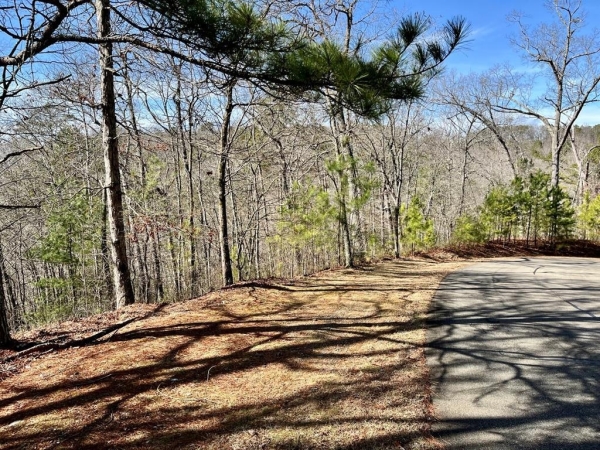 Listing Image #1 - Land for sale at LT 105 Tumbling Waters Lane, Ellijay GA 30540
