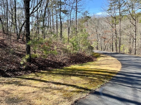 Listing Image #2 - Land for sale at LT 105 Tumbling Waters Lane, Ellijay GA 30540