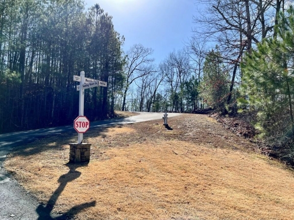 Listing Image #3 - Land for sale at LT 105 Tumbling Waters Lane, Ellijay GA 30540