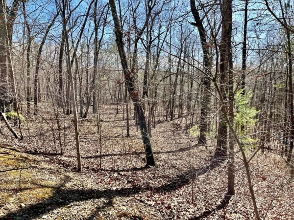 Listing Image #2 - Land for sale at LT 129 Harris Creek Drive, Ellijay GA 30540