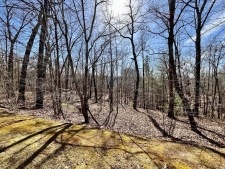 Land property for sale in Ellijay, GA