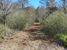 Listing Image #2 - Land for sale at 0 Costley Mill Rd NE, Conyers GA 30013