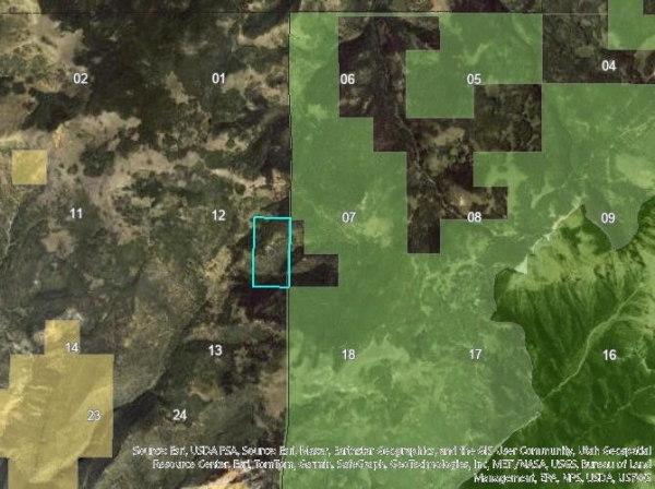 Listing Image #3 - Land for sale at 80 acres near Pickering Creek, Brian Head UT 84719