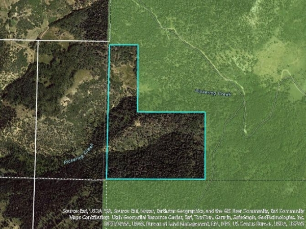 Listing Image #2 - Land for sale at 78.75 acres near Pickering Creek, Brian Head UT 84719