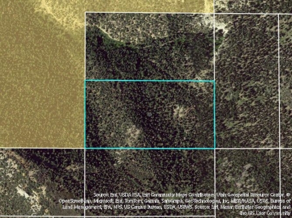 Listing Image #2 - Land for sale at 20 ac near Dry Lake Rd, Brian Head UT 84719