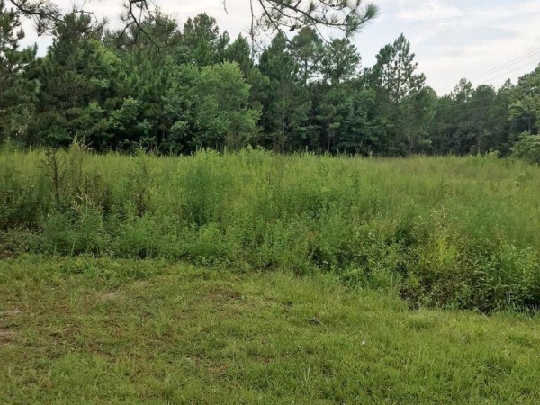Listing Image #2 - Land for sale at 357 Rosehart Avenue, Pass Christian MS 39571