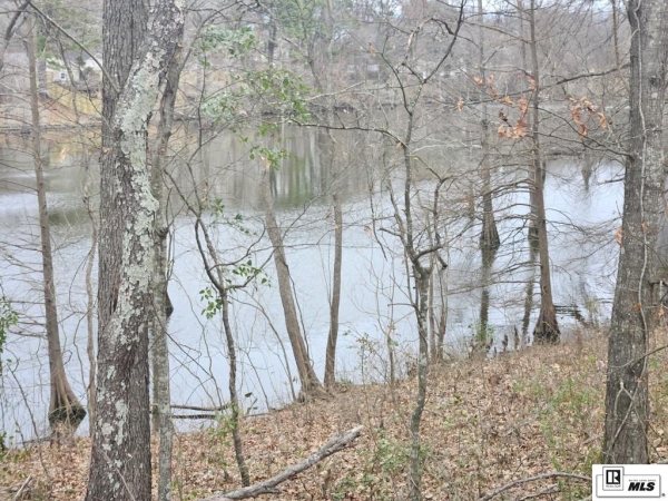 Listing Image #3 - Industrial for sale at 000 HWY 165 S, Sterlington LA 71280