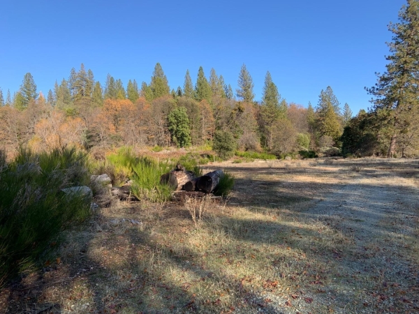 Listing Image #3 - Land for sale at 14317 Tyler Foote Road, Nevada City CA 95959