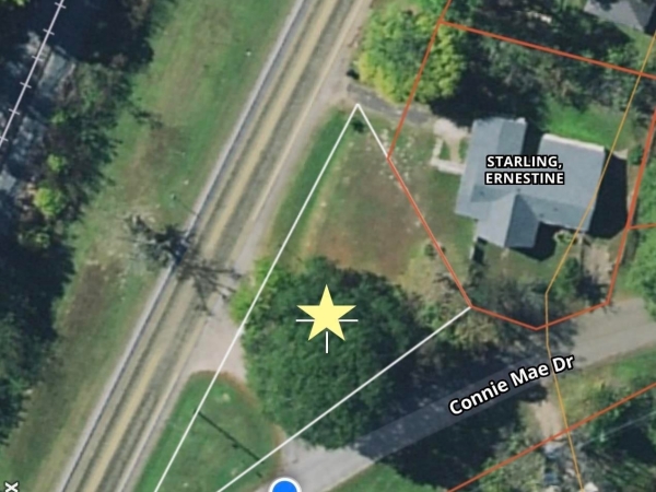 Listing Image #2 - Others for sale at 703 Connie Mae, Winnsboro TX 75494