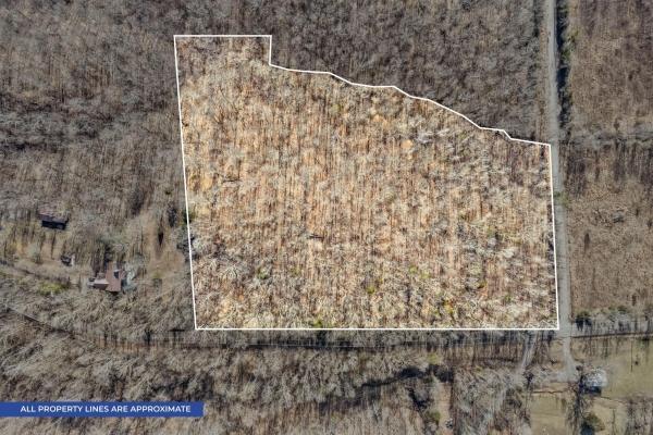 Listing Image #1 - Land for sale at Bumpus Mills Rd, Dover TN 37058