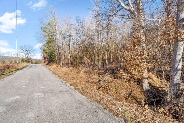 Listing Image #2 - Land for sale at Bumpus Mills Rd, Dover TN 37058