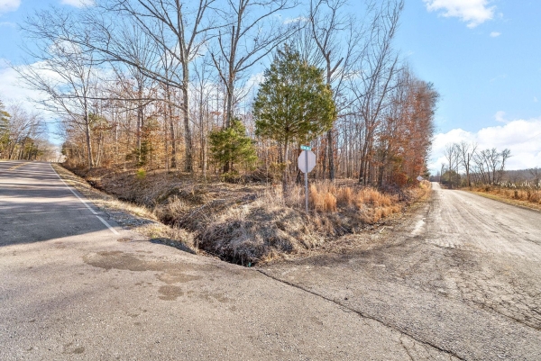 Listing Image #3 - Land for sale at Bumpus Mills Rd, Dover TN 37058