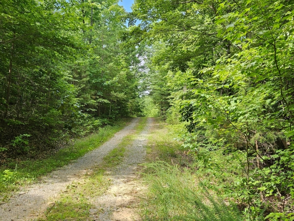 Listing Image #1 - Land for sale at 156 Gage Lane, Ocoee TN 37361