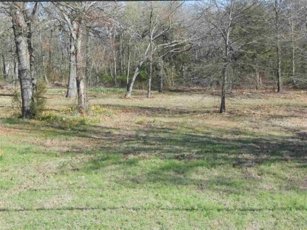 Listing Image #2 - Land for sale at 6425 Lamar Road, Reno TX 75462