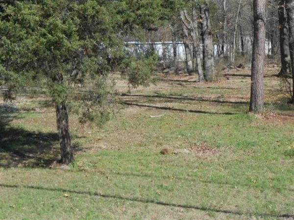 Listing Image #3 - Land for sale at 6425 Lamar Road, Reno TX 75462