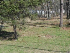 Listing Image #3 - Land for sale at 6425 Lamar Road, Reno TX 75462