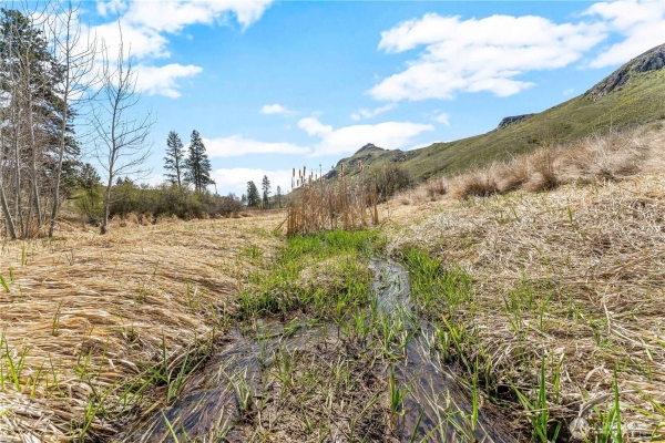 Listing Image #3 - Land for sale at 490 VALLEY ROAD, BREWSTER WA 98816