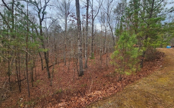 Listing Image #1 - Land for sale at LOT 9 Harris Creek Drive, Ellijay GA 30540