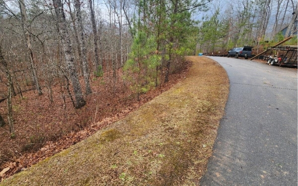 Listing Image #2 - Land for sale at LOT 9 Harris Creek Drive, Ellijay GA 30540