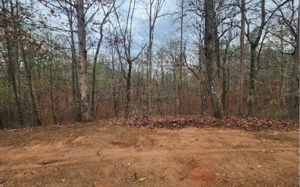 Listing Image #3 - Land for sale at LOT 9 Harris Creek Drive, Ellijay GA 30540