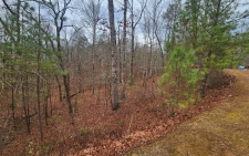 Land property for sale in Ellijay, GA