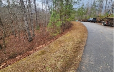 Listing Image #2 - Land for sale at LOT 9 Harris Creek Drive, Ellijay GA 30540