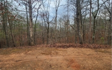 Listing Image #3 - Land for sale at LOT 9 Harris Creek Drive, Ellijay GA 30540