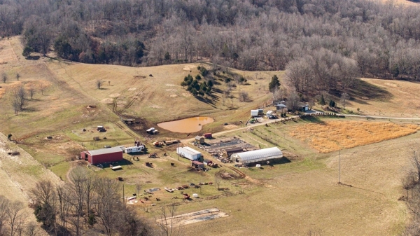 Listing Image #3 - Land for sale at 5094 Frenchman Knob Road, Bonnieville KY 42713
