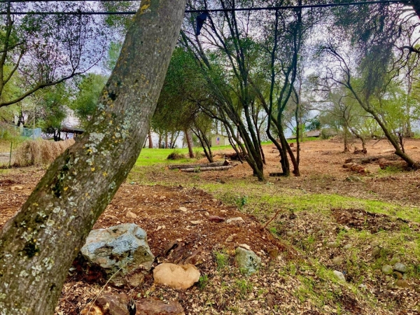Listing Image #3 - Land for sale at Placerville Dr Drive, Placerville CA 95667