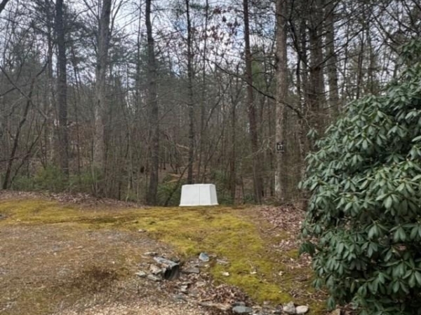 Listing Image #3 - Land for sale at 16R Leatherwood Mountain Road, Cherry Log GA 30522