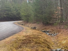 Land property for sale in Cherry Log, GA