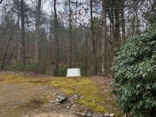 Listing Image #3 - Land for sale at 16R Leatherwood Mountain Road, Cherry Log GA 30522