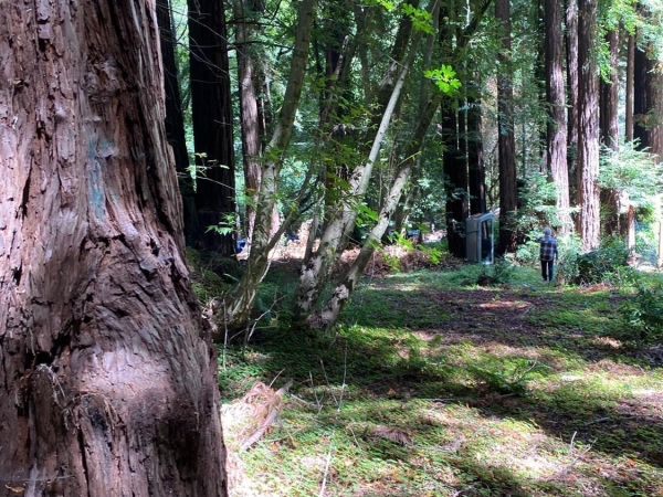 Listing Image #2 - Land for sale at 1545 Cazadero Hwy, Cazadero CA 95421