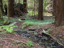 Land property for sale in Cazadero, CA
