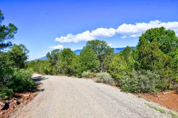 Listing Image #3 - Others for sale at 39 Camino De Avila, Tijeras NM 87059