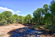 Listing Image #2 - Others for sale at 39 Camino De Avila, Tijeras NM 87059