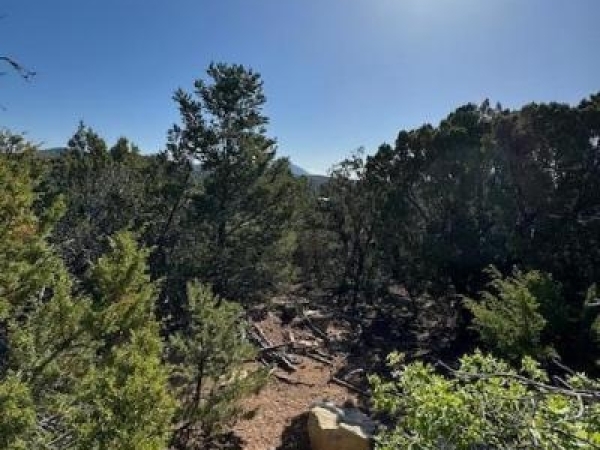 Listing Image #2 - Others for sale at 7 Oakmont Ridge Road, Sandia Park NM 87047