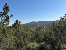Others property for sale in Sandia Park, NM