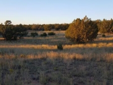 Others property for sale in Carrizozo, NM