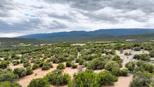 Listing Image #2 - Others for sale at 7 Zia court Court, Sandia Park NM 87047