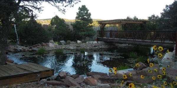 Listing Image #3 - Others for sale at 2 Mustang Mesa Trail, Tijeras NM 87059