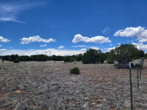 Listing Image #2 - Others for sale at 0000 Bullion Rd, Moriarty NM 87035