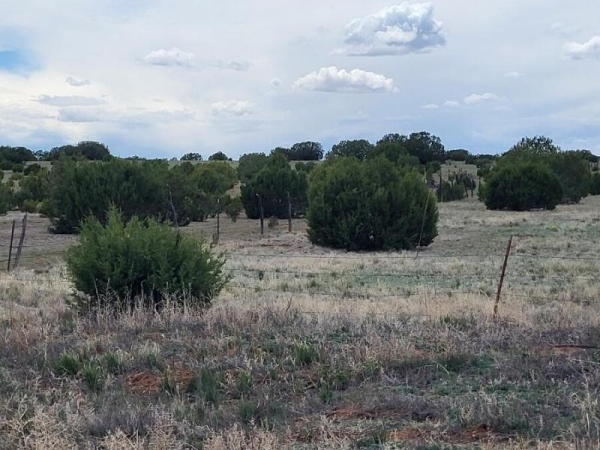 Listing Image #3 - Others for sale at 0000 Bullion Rd, Moriarty NM 87035