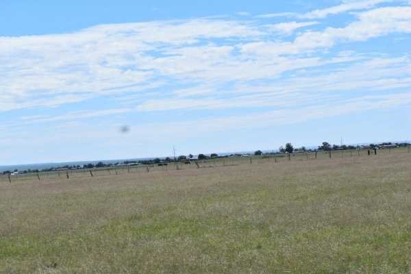 Listing Image #2 - Others for sale at 00 Sunrise Drive, Moriarty NM 87035
